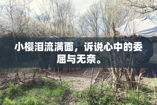 小樱泪流满面，诉说心中的委屈与无奈。