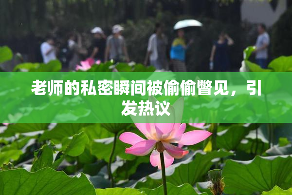老师的私密瞬间被偷偷瞥见，引发热议