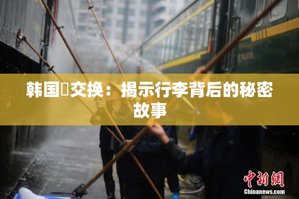 韩国巜交换：揭示行李背后的秘密故事