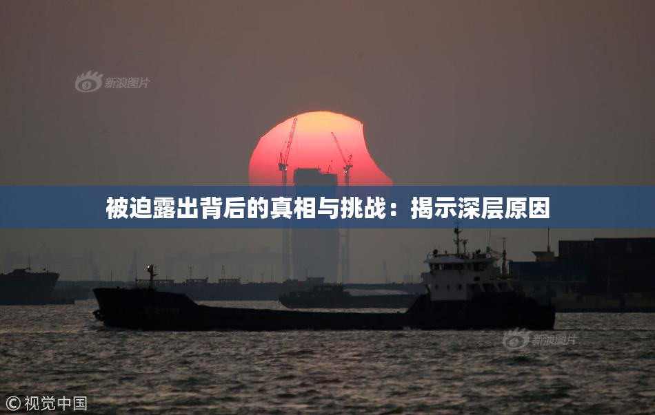 被迫露出背后的真相与挑战：揭示深层原因