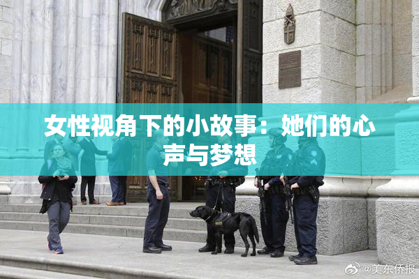 女性视角下的小故事：她们的心声与梦想
