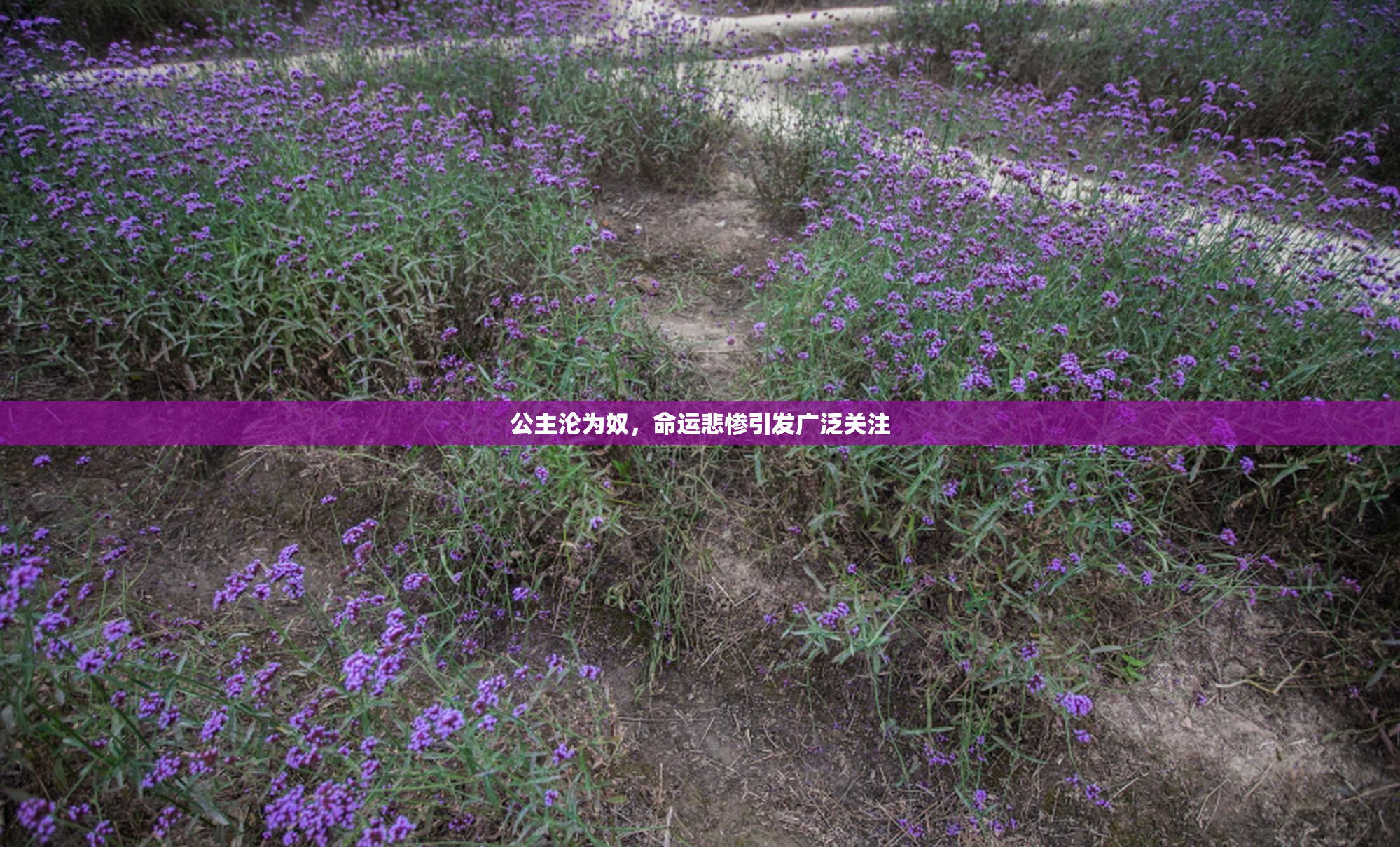 公主沦为奴，命运悲惨引发广泛关注