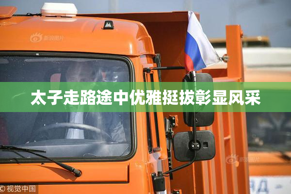 太子走路途中优雅挺拔彰显风采