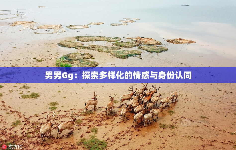 男男Gg：探索多样化的情感与身份认同