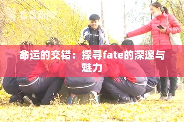命运的交错：探寻fate的深邃与魅力