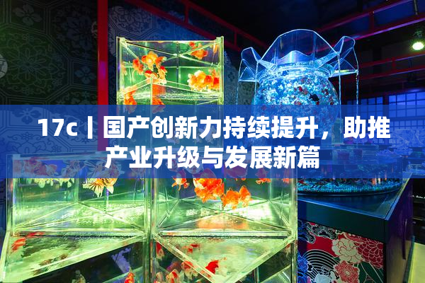 17c丨国产创新力持续提升，助推产业升级与发展新篇