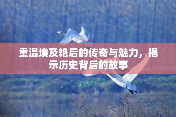 重温埃及艳后的传奇与魅力，揭示历史背后的故事
