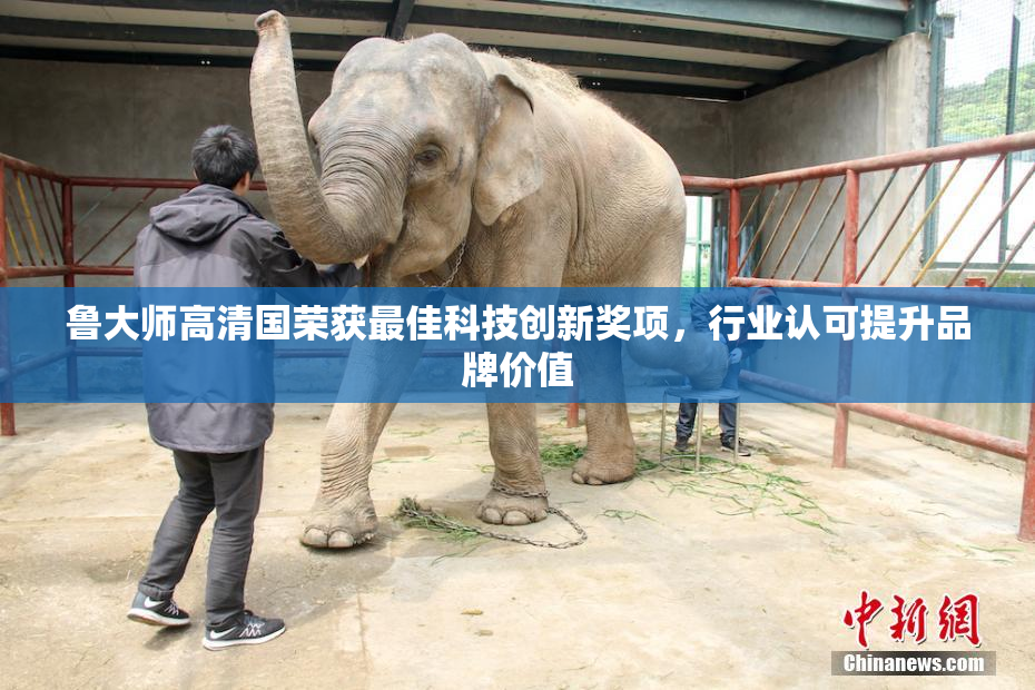 鲁大师高清国荣获最佳科技创新奖项，行业认可提升品牌价值