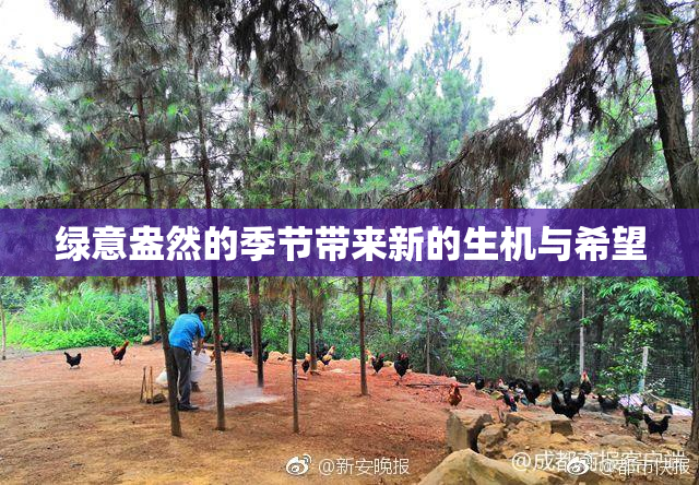 绿意盎然的季节带来新的生机与希望
