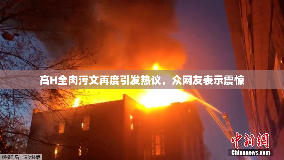 高H全肉污文再度引发热议，众网友表示震惊