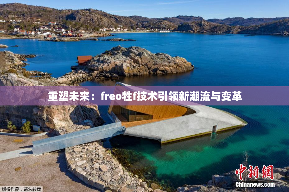 重塑未来：freo牲f技术引领新潮流与变革
