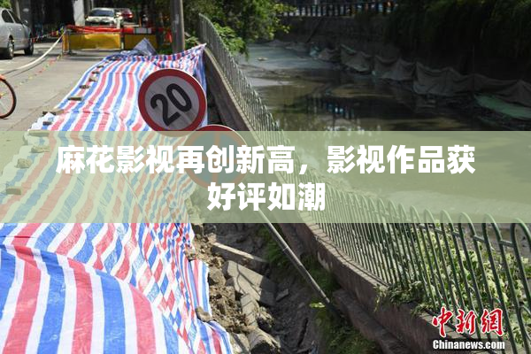 麻花影视再创新高，影视作品获好评如潮