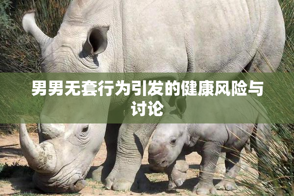 男男无套行为引发的健康风险与讨论