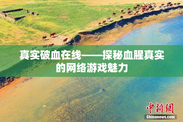 真实破血在线——探秘血腥真实的网络游戏魅力