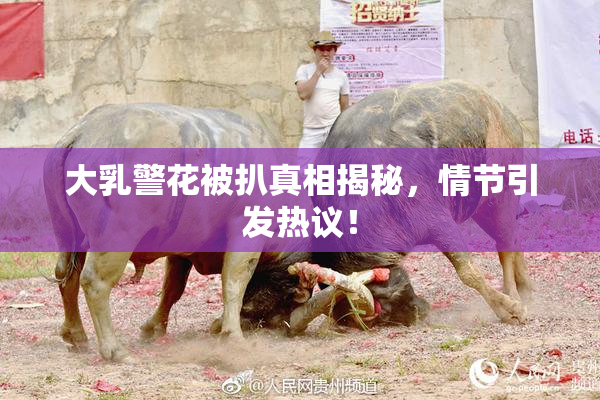 大乳警花被扒真相揭秘，情节引发热议！