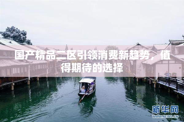 国产精品二区引领消费新趋势，值得期待的选择