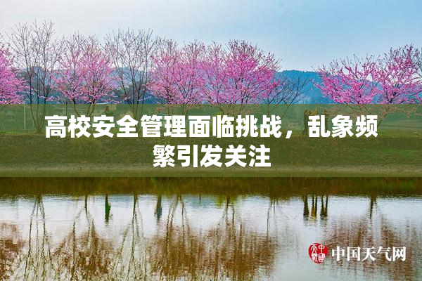 高校安全管理面临挑战，乱象频繁引发关注