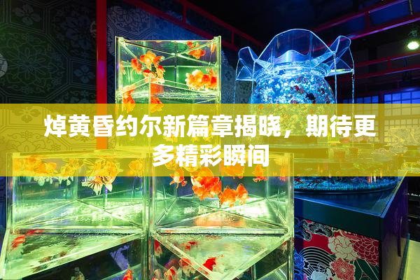 焯黄昏约尔新篇章揭晓，期待更多精彩瞬间