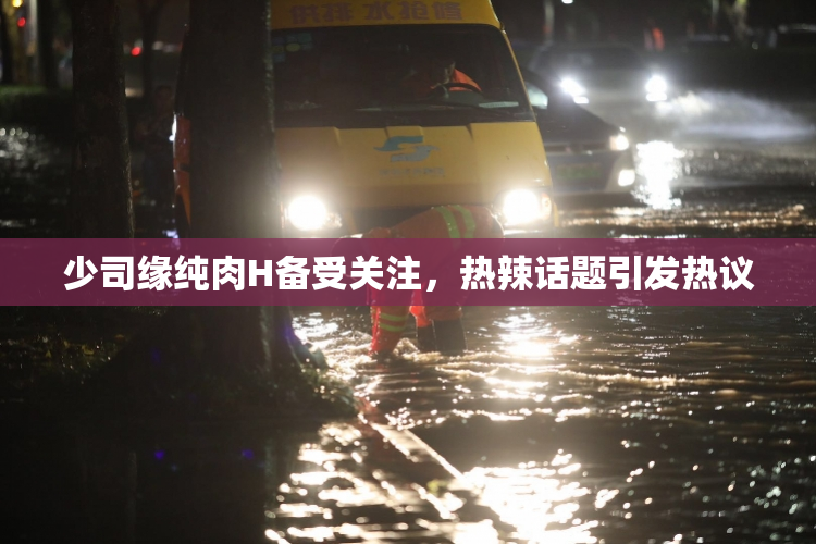 少司缘纯肉H备受关注，热辣话题引发热议