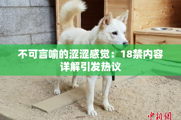 不可言喻的涩涩感觉：18禁内容详解引发热议