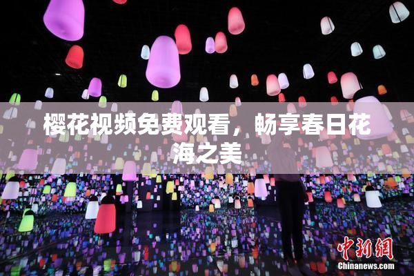 樱花视频免费观看，畅享春日花海之美