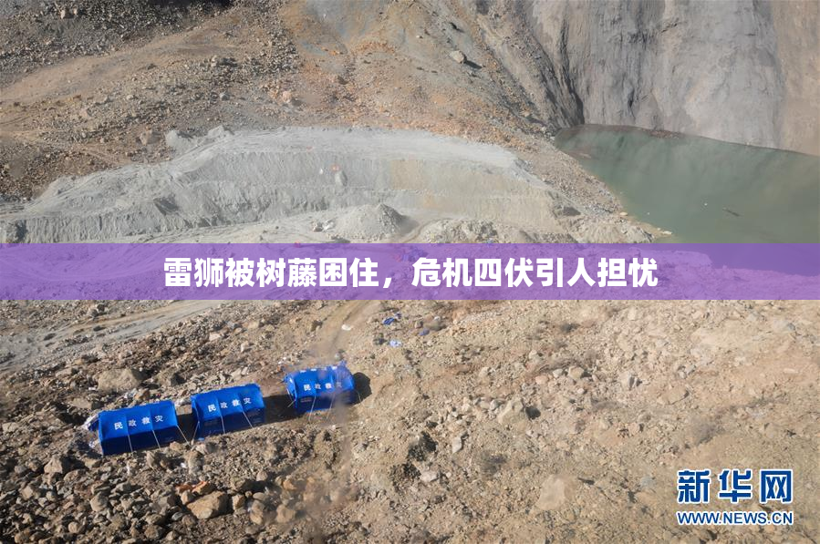 雷狮被树藤困住，危机四伏引人担忧