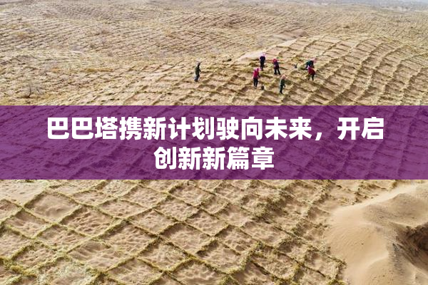 巴巴塔携新计划驶向未来，开启创新新篇章