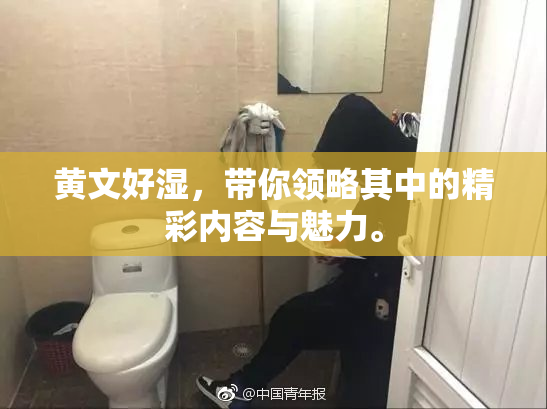 黄文好湿，带你领略其中的精彩内容与魅力。