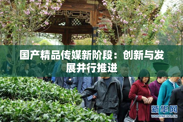 国产精品传媒新阶段：创新与发展并行推进
