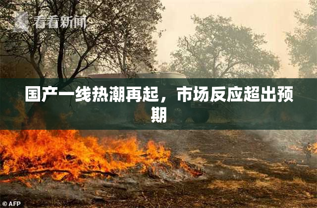 国产一线热潮再起，市场反应超出预期