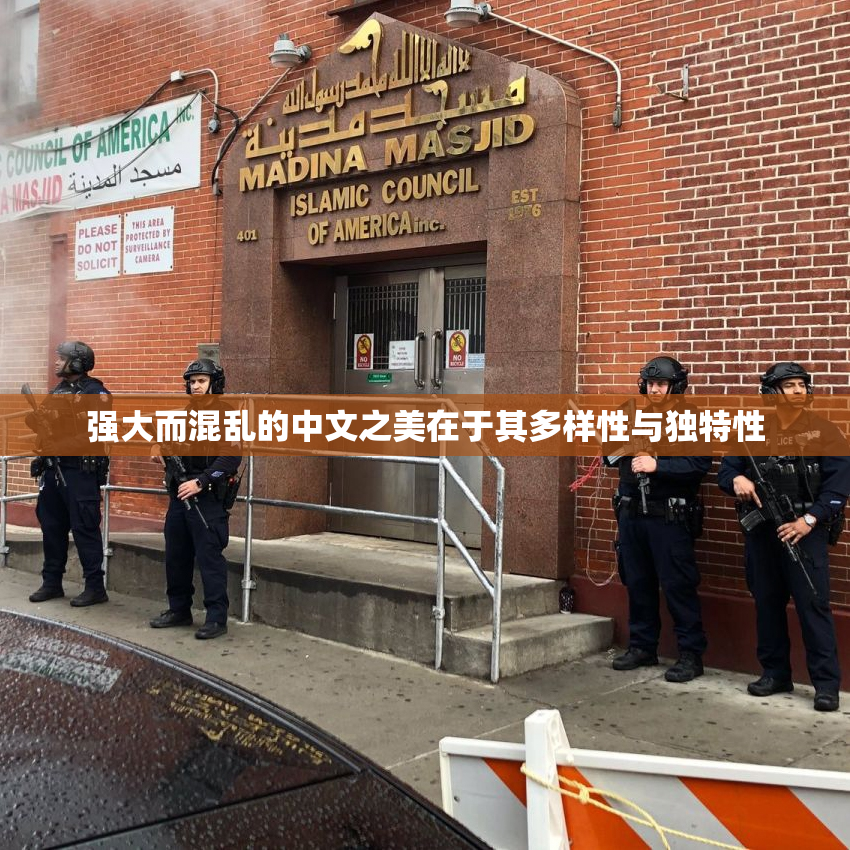 强大而混乱的中文之美在于其多样性与独特性