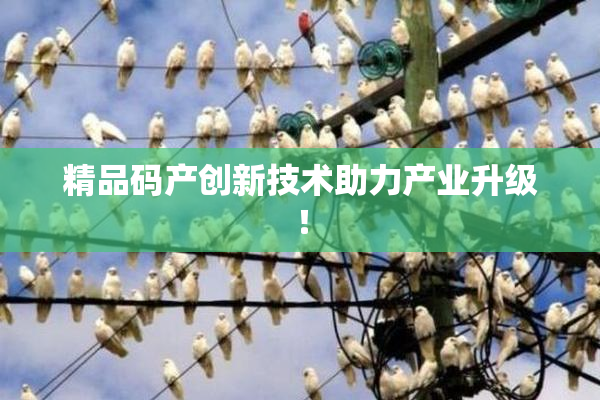 精品码产创新技术助力产业升级！