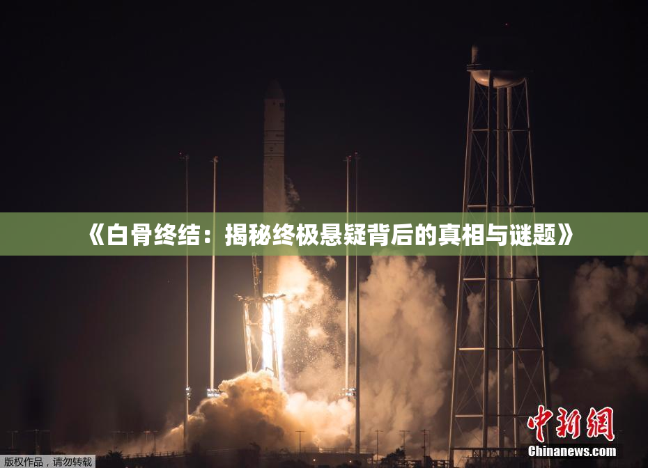 《白骨终结：揭秘终极悬疑背后的真相与谜题》