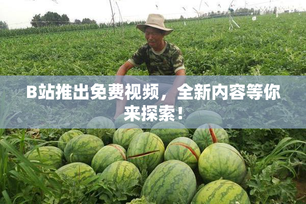 B站推出免费视频，全新内容等你来探索！