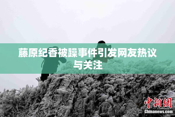 藤原纪香被躁事件引发网友热议与关注