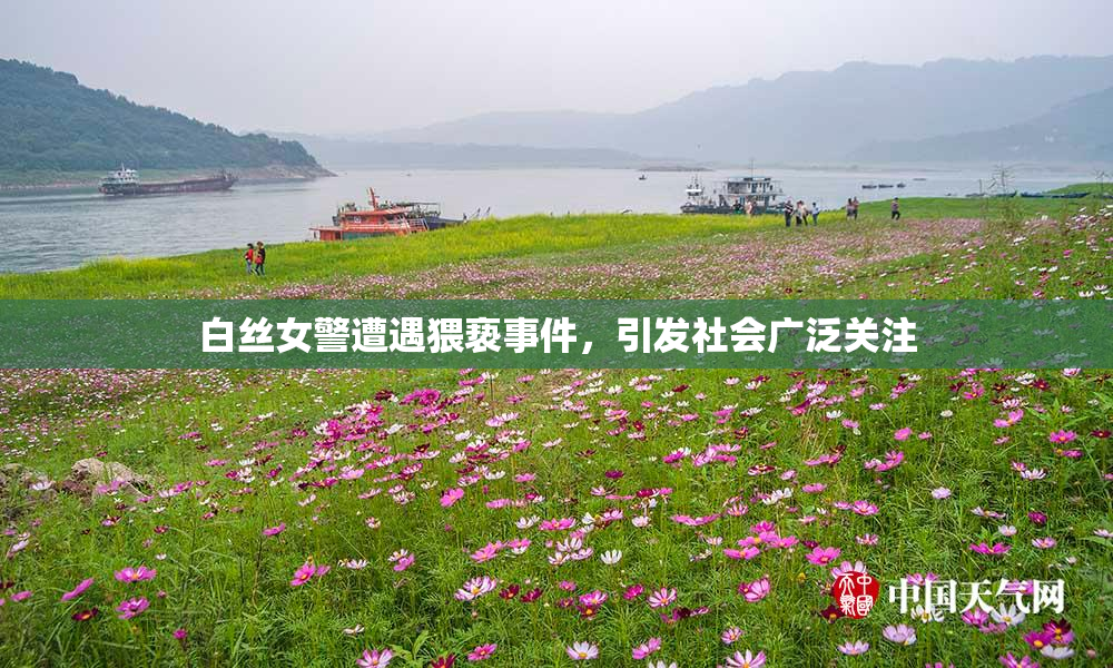白丝女警遭遇猥亵事件，引发社会广泛关注