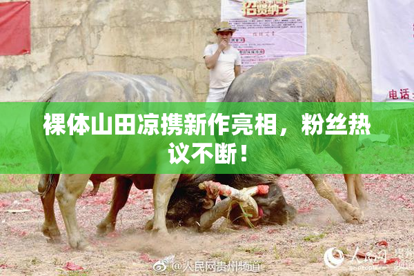 裸体山田凉携新作亮相，粉丝热议不断！
