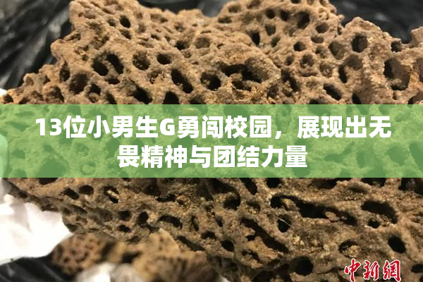 13位小男生G勇闯校园，展现出无畏精神与团结力量