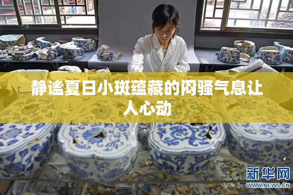 静谧夏日小斑蕴藏的闷骚气息让人心动