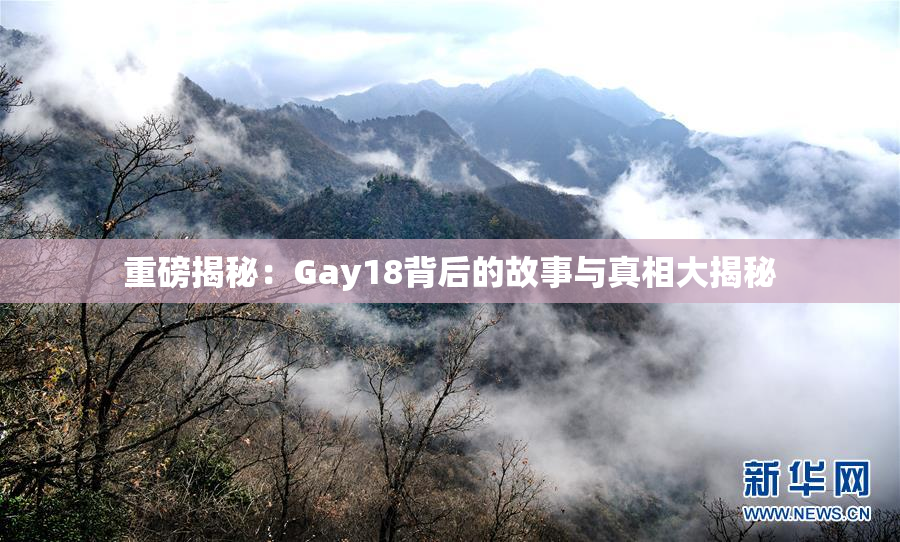 重磅揭秘：Gay18背后的故事与真相大揭秘