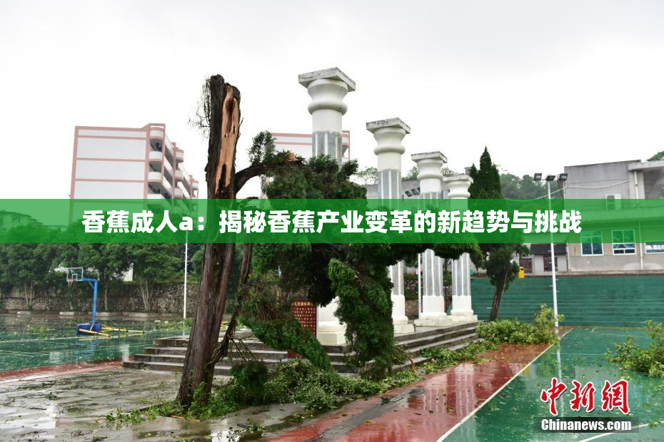 香蕉成人a：揭秘香蕉产业变革的新趋势与挑战