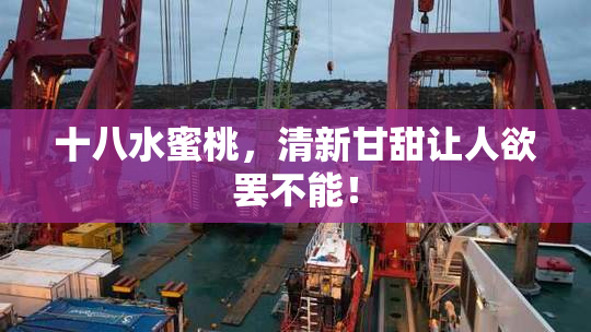 十八水蜜桃，清新甘甜让人欲罢不能！