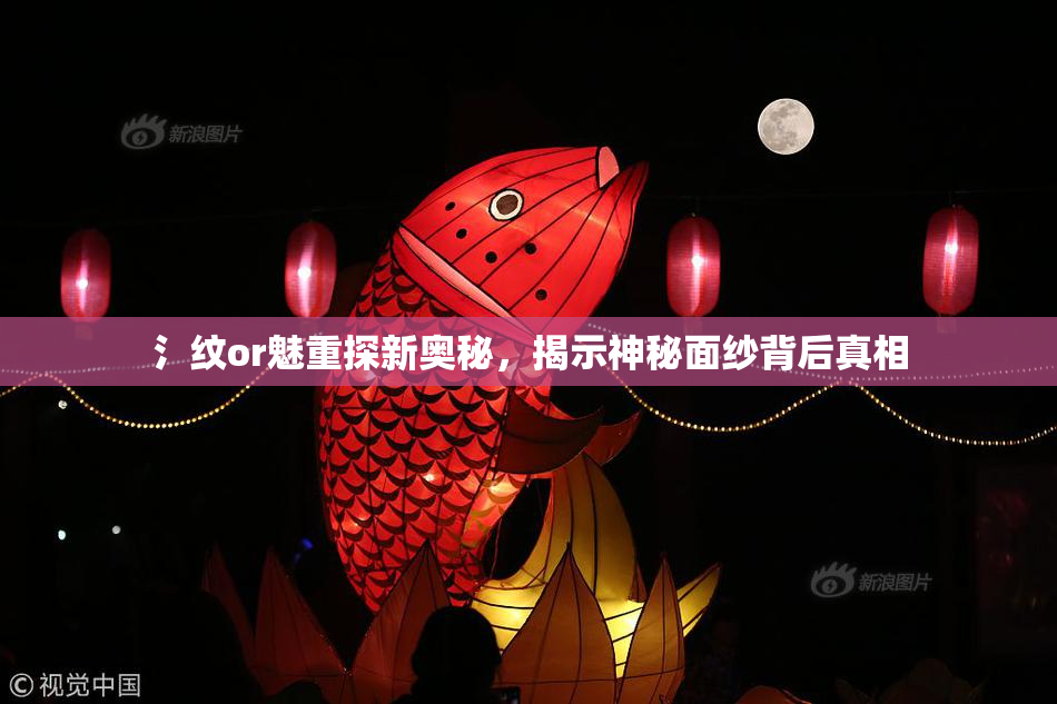 氵纹or魅重探新奥秘，揭示神秘面纱背后真相