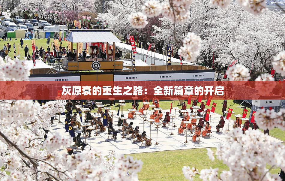 灰原衰的重生之路：全新篇章的开启