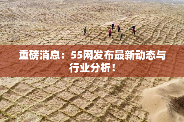 重磅消息：55网发布最新动态与行业分析！