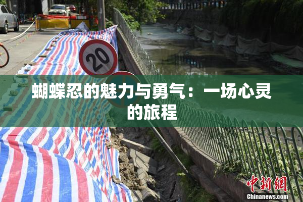 蝴蝶忍的魅力与勇气：一场心灵的旅程