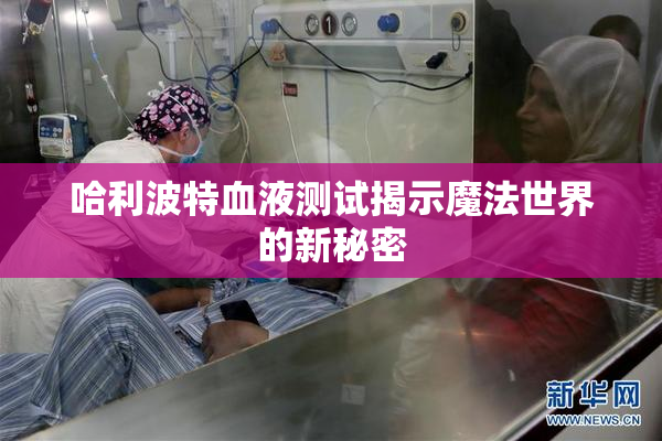 哈利波特血液测试揭示魔法世界的新秘密