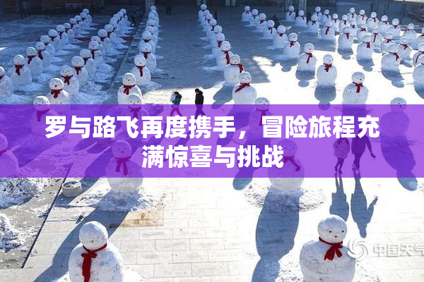 罗与路飞再度携手，冒险旅程充满惊喜与挑战