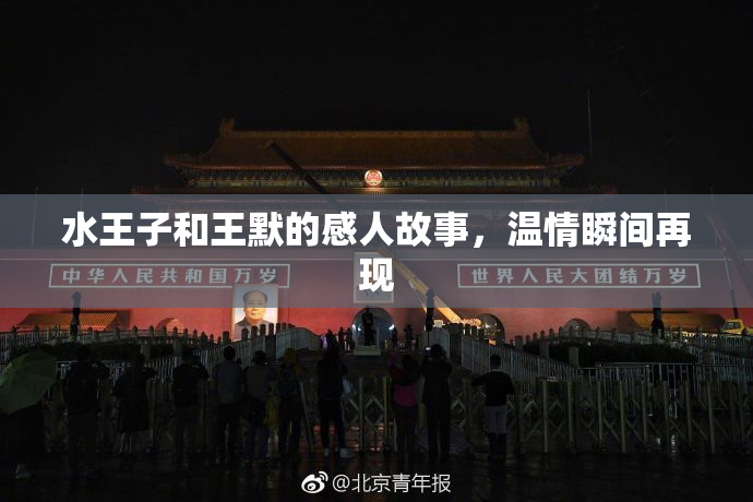 水王子和王默的感人故事，温情瞬间再现