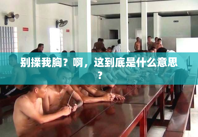 别揉我胸？啊，这到底是什么意思？